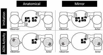 An fNIRS Study of Brain Lateralization During Observation and Execution of a Fine Motor Task